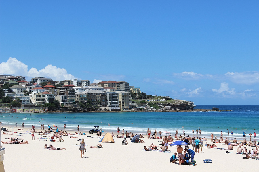 Relax at Bondi Beach