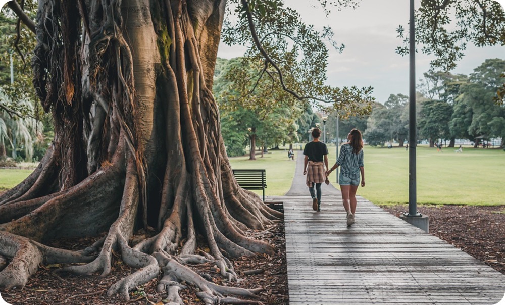 Stroll Through the Royal Botanic Garden