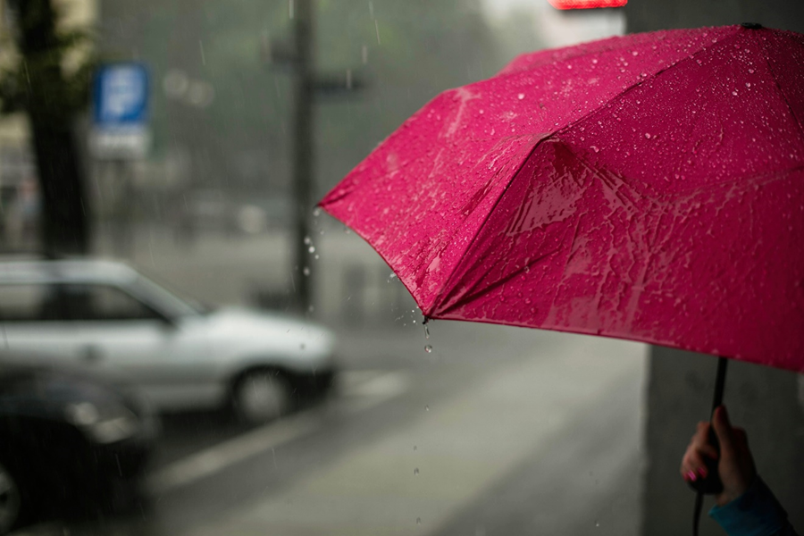 Umbrella
